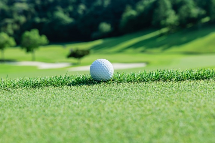 Golf Ball on Edge of Green