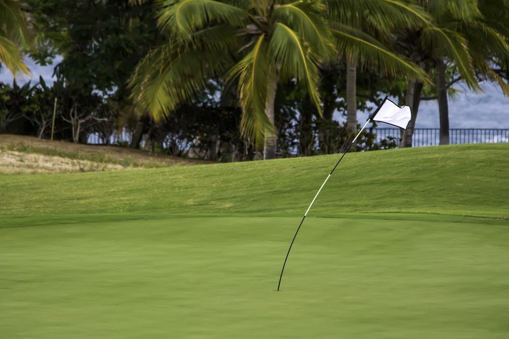 Golf Pin Bending in the Wind